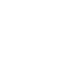 customers within your ecosystem icon