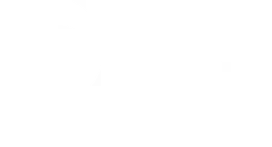 Caye International Bank White Logo